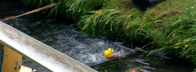 Trapped in the Weir